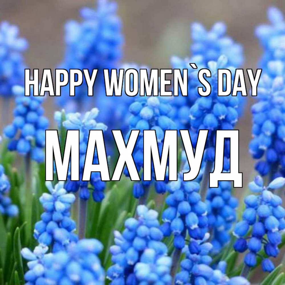 Greetings card с именем, Махмуд happy women`s day Поздравительная открытка для женщин с цветами на праздничную дату Greetings with text for free download 